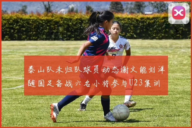 泰山队未归队球员动态谢文能刘洋随国足备战六名小将参与U23集训